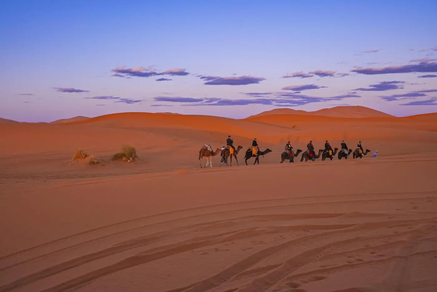 6-Dae Fes na Marrakech Woestyntoer