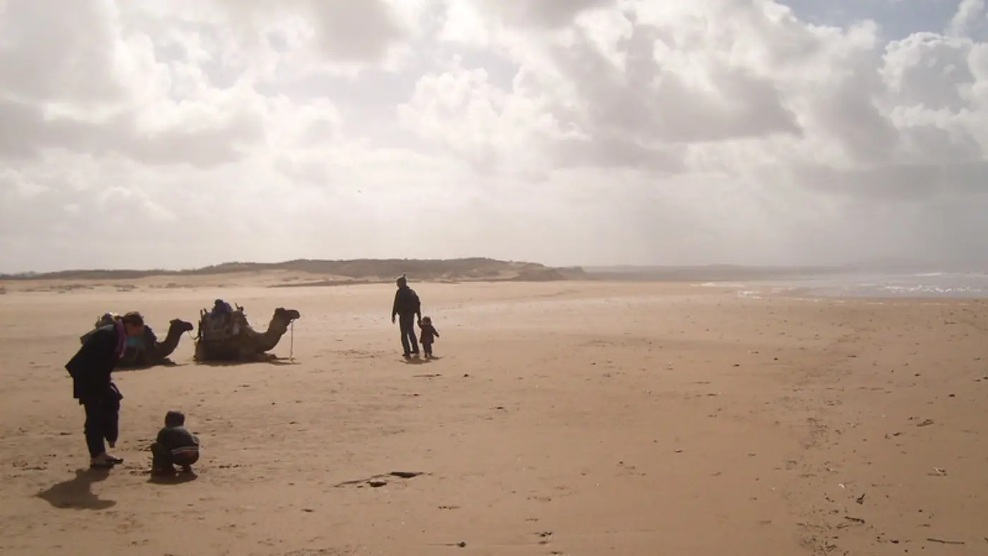 7-Dae Marrakech na Merzouga & Essaouira — Coastal Beach Camels