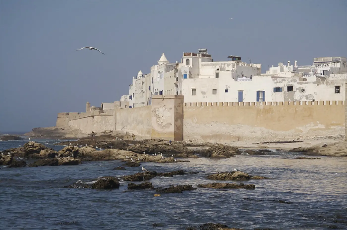 Dagtoer vanaf Marrakech na Essaouira