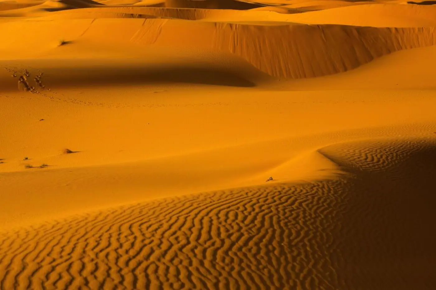 3-Dae Woestyntoer vanaf Marrakech na Merzouga